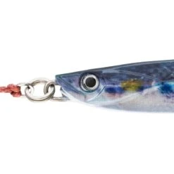 CASTING JIG BIASTOS ASSIST 20gr MULLET Pêche Au Leurre En Mer 6 CASTING JIG BIASTOS ASSIST 20gr MULLET Pêche Au Leurre En Mer -Pêche Passion Soldes casting jig biastos assist 20gr mullet peche au leurre en mer 2
